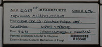 Image Associated With the Occurence